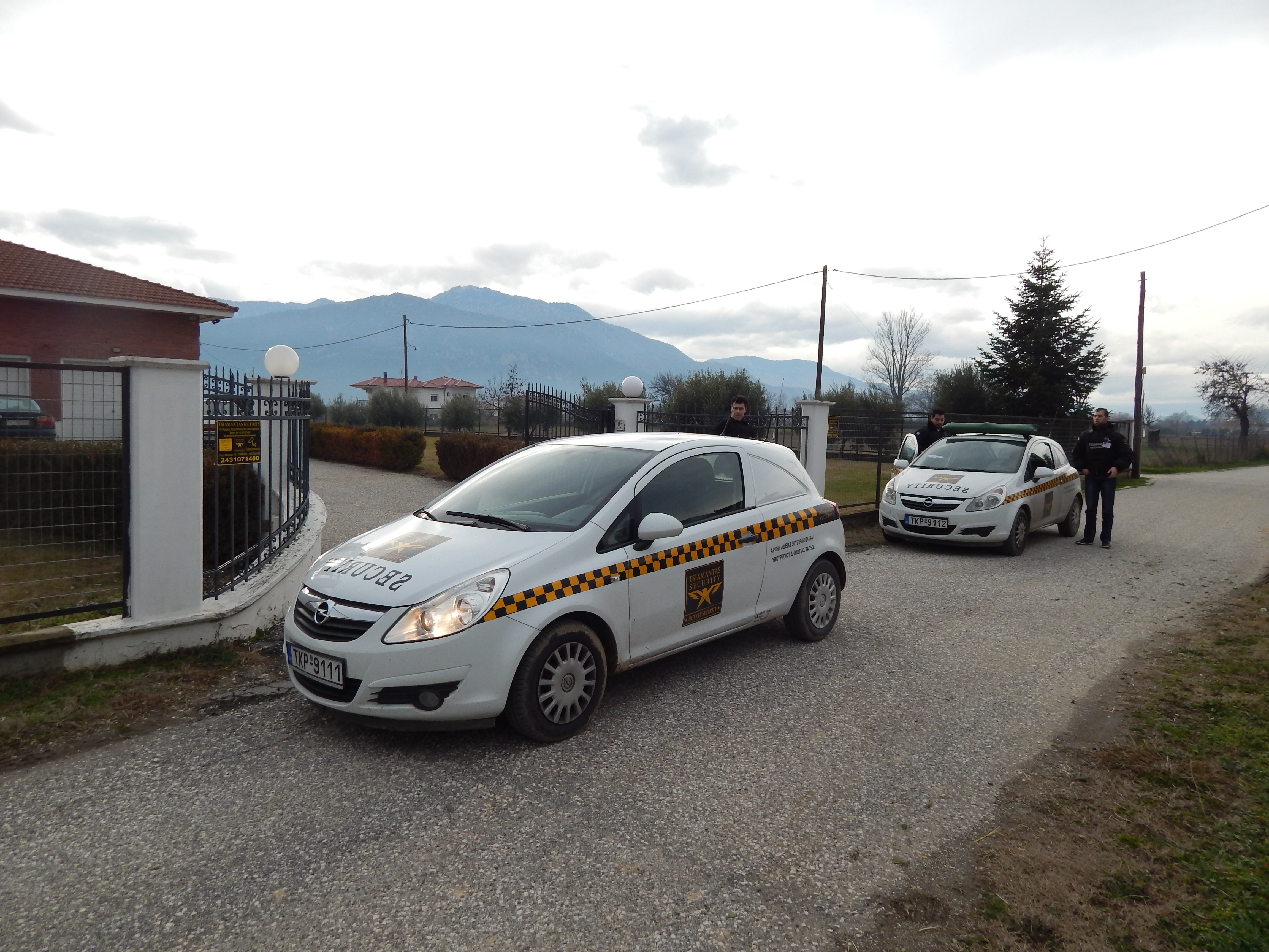 pelatis2